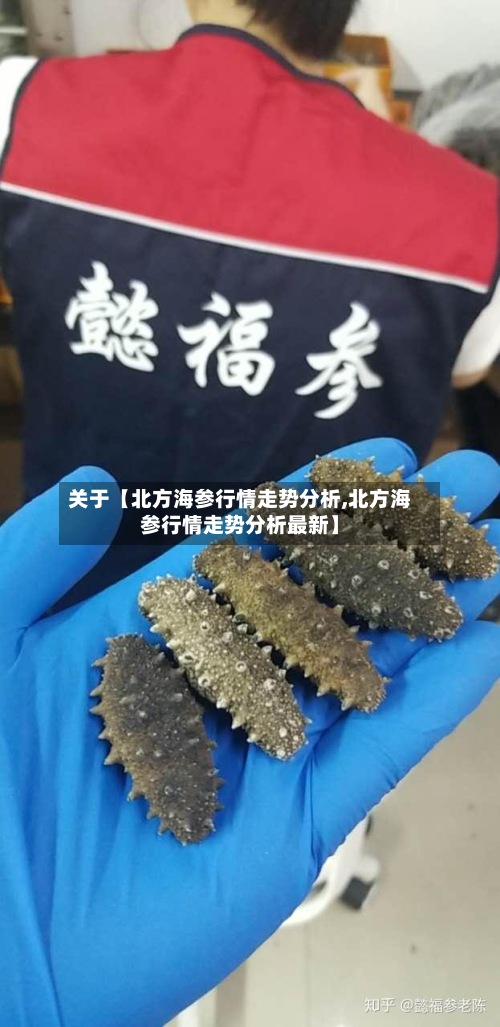 关于【北方海参行情走势分析,北方海参行情走势分析最新】