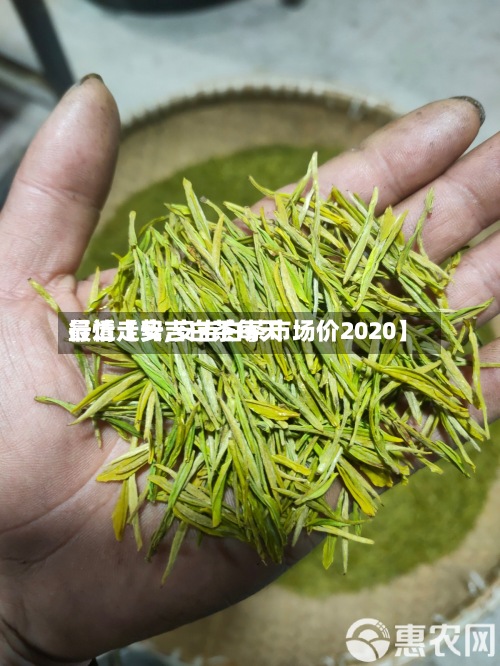 最近【安吉白茶每天
行情走势,安吉白茶市场价2020】-第2张图片