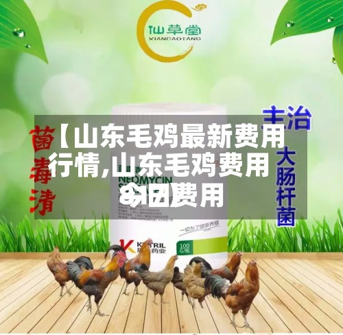 【山东毛鸡最新费用
行情,山东毛鸡费用
今日费用
817】