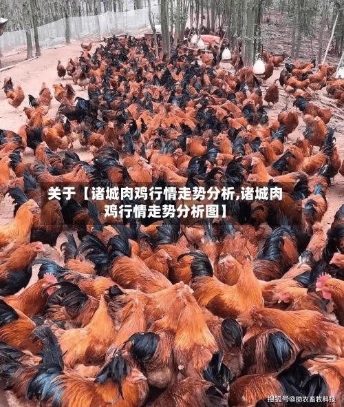 关于【诸城肉鸡行情走势分析,诸城肉鸡行情走势分析图】-第3张图片