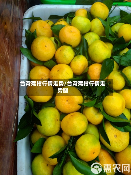 台湾蕉柑行情走势/台湾蕉柑行情走势图