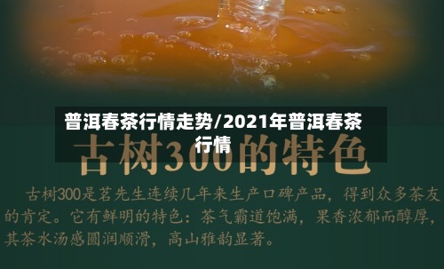 普洱春茶行情走势/2021年普洱春茶行情-第2张图片
