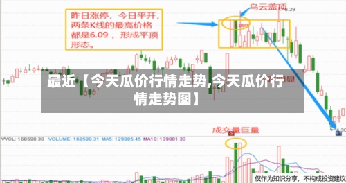 最近【今天瓜价行情走势,今天瓜价行情走势图】