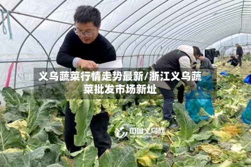 义乌蔬菜行情走势最新/浙江义乌蔬菜批发市场新址-第2张图片