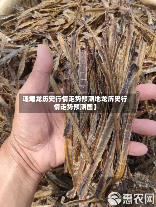 近来【地龙历史行情走势预测地龙历史行情走势预测图】