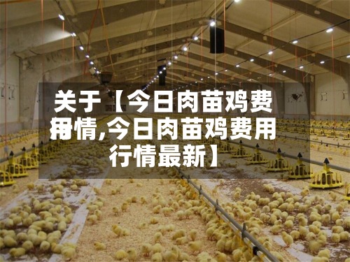 关于【今日肉苗鸡费用行情,今日肉苗鸡费用行情最新】-第2张图片