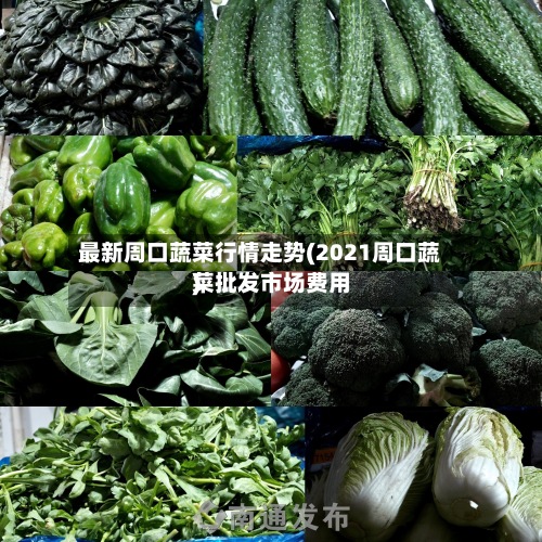 最新周口蔬菜行情走势(2021周口蔬菜批发市场费用)