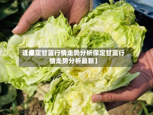 近来
【保定甘蓝行情走势分析保定甘蓝行情走势分析最新】-第2张图片