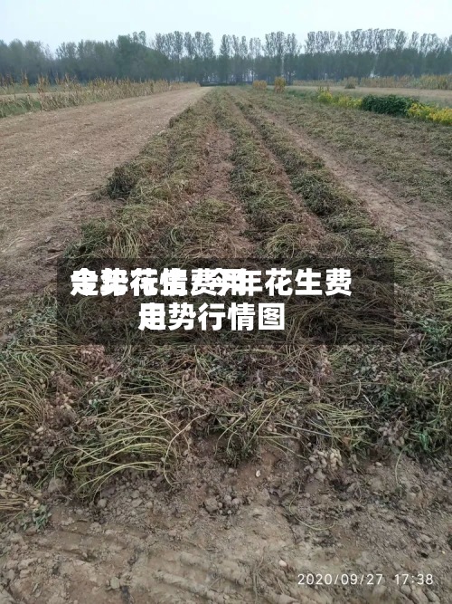今年花生费用
走势行情/今年花生费用
走势行情图
