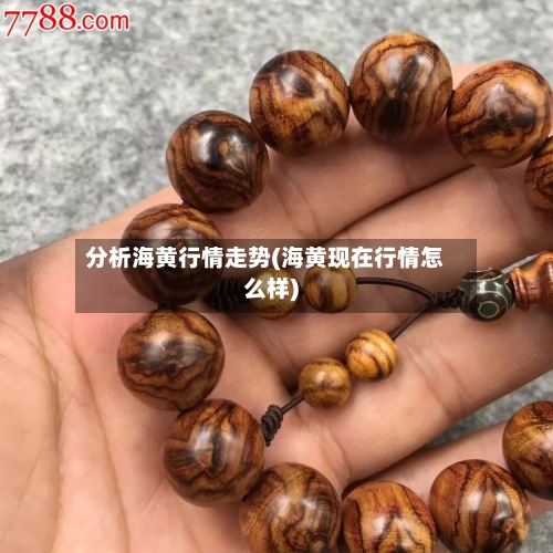 分析海黄行情走势(海黄现在行情怎么样)