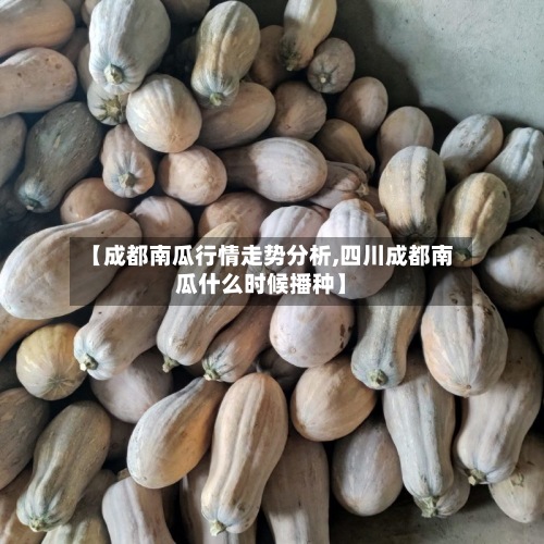 【成都南瓜行情走势分析,四川成都南瓜什么时候播种】