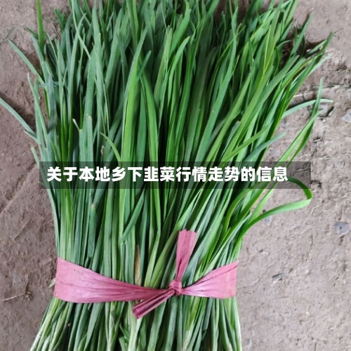 关于本地乡下韭菜行情走势的信息-第2张图片