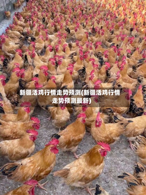 新疆活鸡行情走势预测(新疆活鸡行情走势预测最新)
