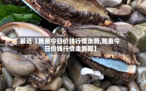 最近【鲍鱼今日价钱行情走势,鲍鱼今日价钱行情走势图】-第2张图片