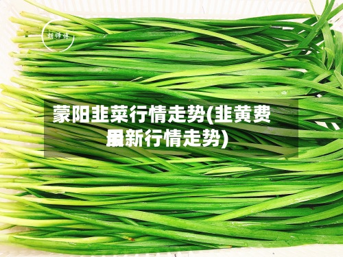蒙阳韭菜行情走势(韭黄费用最新行情走势)-第2张图片