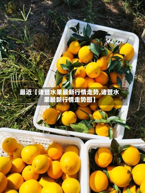 最近【诸暨水果最新行情走势,诸暨水果最新行情走势图】