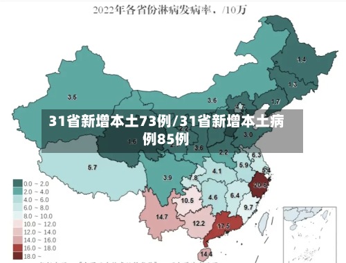 31省新增本土73例/31省新增本土病例85例
