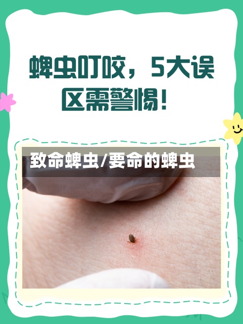 致命蜱虫/要命的蜱虫