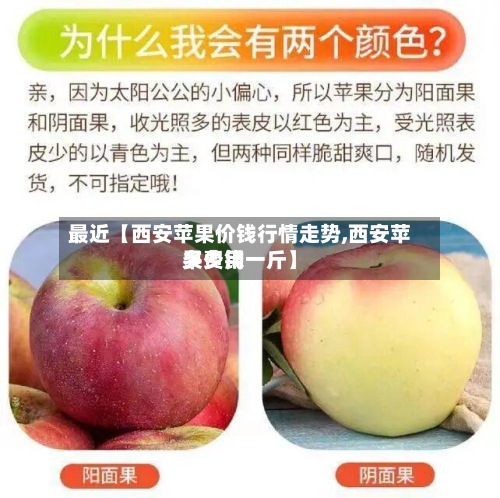 最近【西安苹果价钱行情走势,西安苹果费用多少钱一斤】