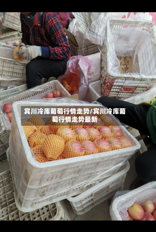 宾川冷库葡萄行情走势/宾川冷库葡萄行情走势最新-第3张图片