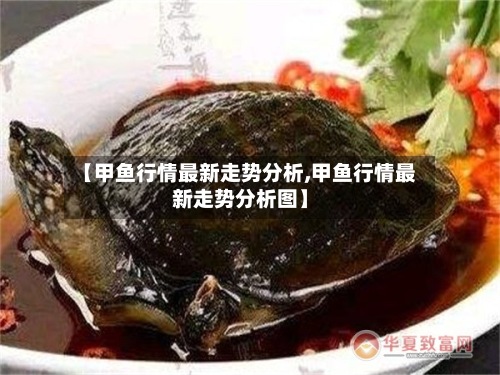 【甲鱼行情最新走势分析,甲鱼行情最新走势分析图】
