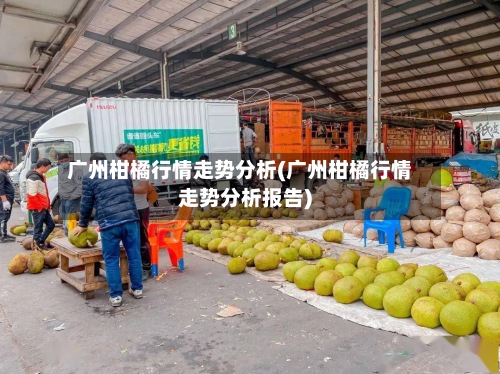 广州柑橘行情走势分析(广州柑橘行情走势分析报告)
