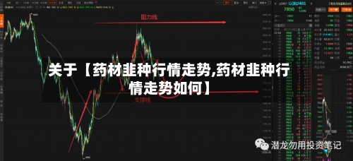 关于【药材韭种行情走势,药材韭种行情走势如何】-第3张图片