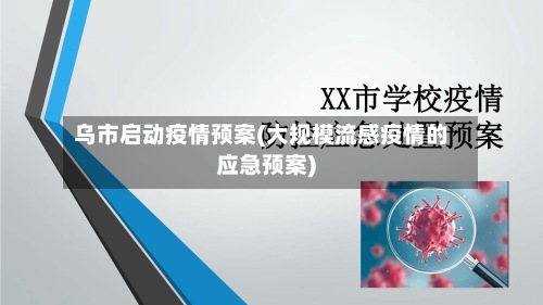 乌市启动疫情预案(大规模流感疫情的应急预案)