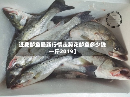 近来
【花鲈鱼最新行情走势花鲈鱼多少钱一斤2019】-第2张图片