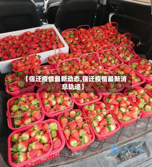 【宿迁疫情最新动态,宿迁疫情最新消息轨迹】