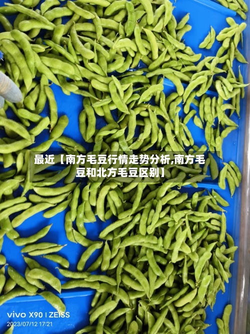 最近【南方毛豆行情走势分析,南方毛豆和北方毛豆区别】