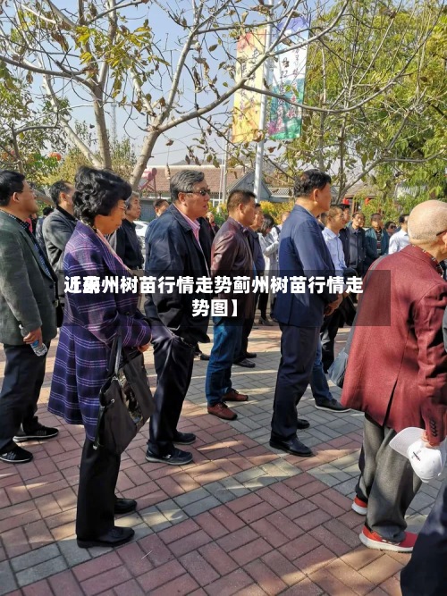 近来【蓟州树苗行情走势蓟州树苗行情走势图】-第3张图片
