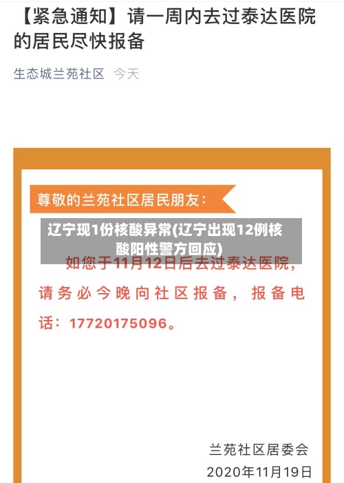 辽宁现1份核酸异常(辽宁出现12例核酸阳性警方回应)-第2张图片