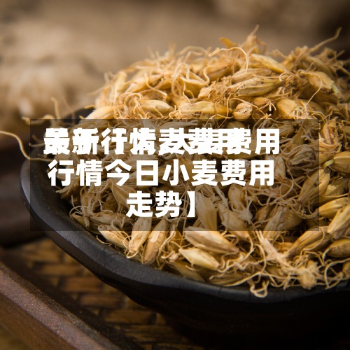 关于【大麦费用最新行情,大麦费用行情今日小麦费用走势】