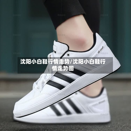 沈阳小白鞋行情走势/沈阳小白鞋行情走势图-第3张图片
