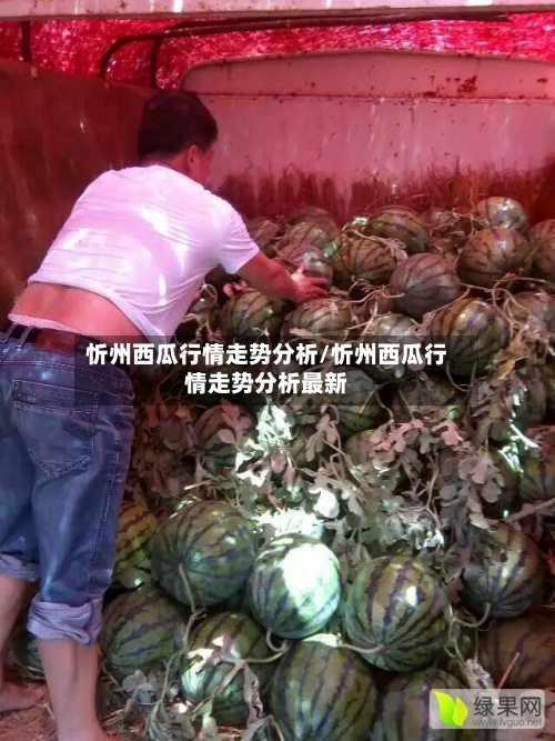 忻州西瓜行情走势分析/忻州西瓜行情走势分析最新-第2张图片