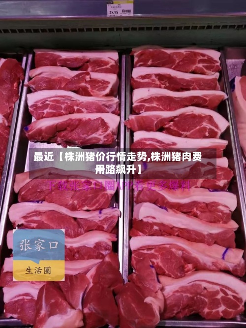 最近【株洲猪价行情走势,株洲猪肉费用
一路飙升】-第3张图片