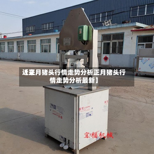 近来
【正月猪头行情走势分析正月猪头行情走势分析最新】