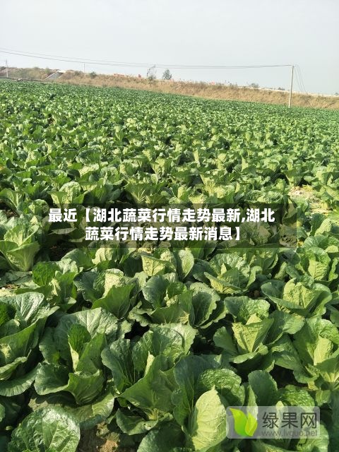 最近【湖北蔬菜行情走势最新,湖北蔬菜行情走势最新消息】-第2张图片