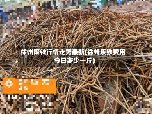 徐州废铁行情走势最新(徐州废铁费用
今日多少一斤)-第2张图片