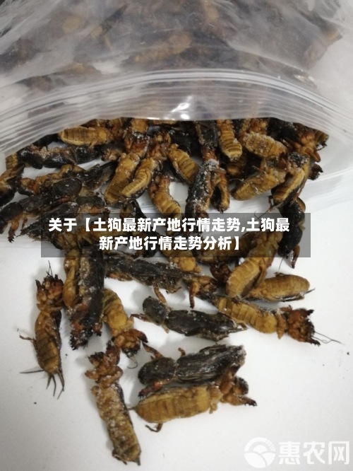 关于【土狗最新产地行情走势,土狗最新产地行情走势分析】