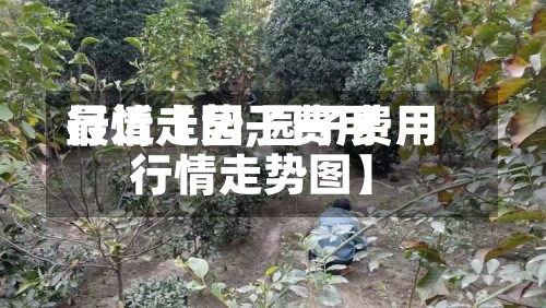 最近【园子费用
行情走势,园子费用
行情走势图】-第2张图片