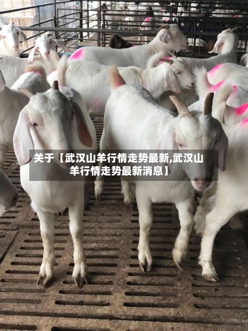 关于【武汉山羊行情走势最新,武汉山羊行情走势最新消息】