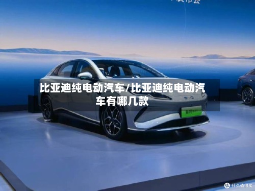 比亚迪纯电动汽车/比亚迪纯电动汽车有哪几款