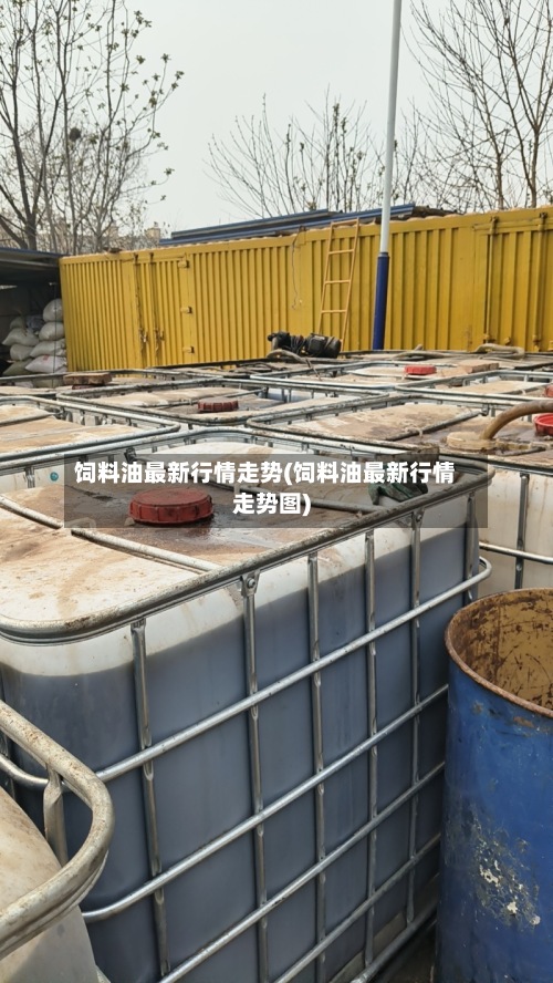 饲料油最新行情走势(饲料油最新行情走势图)-第2张图片