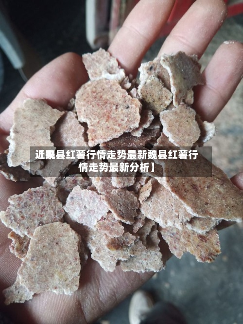 近来
【魏县红薯行情走势最新魏县红薯行情走势最新分析】-第2张图片