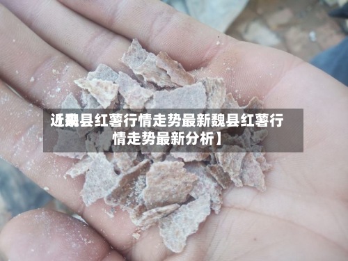 近来
【魏县红薯行情走势最新魏县红薯行情走势最新分析】