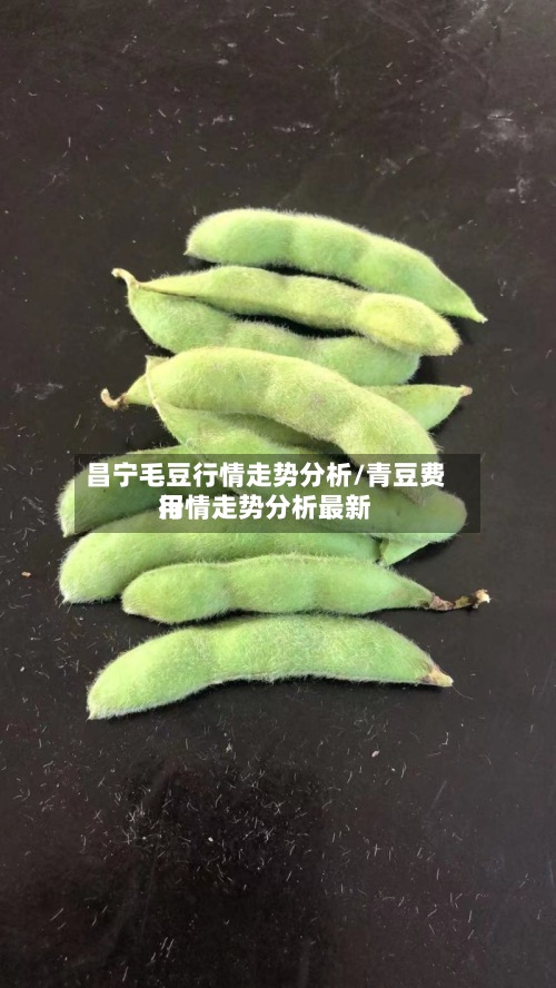 昌宁毛豆行情走势分析/青豆费用
行情走势分析最新