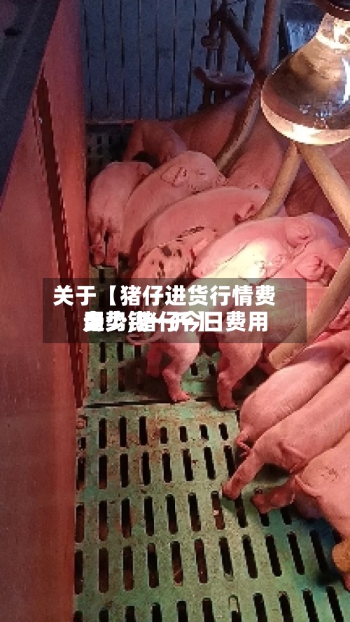 关于【猪仔进货行情费用走势,猪仔今日费用多少钱一斤】