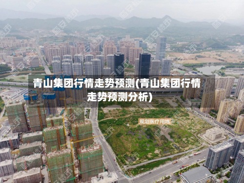 青山集团行情走势预测(青山集团行情走势预测分析)